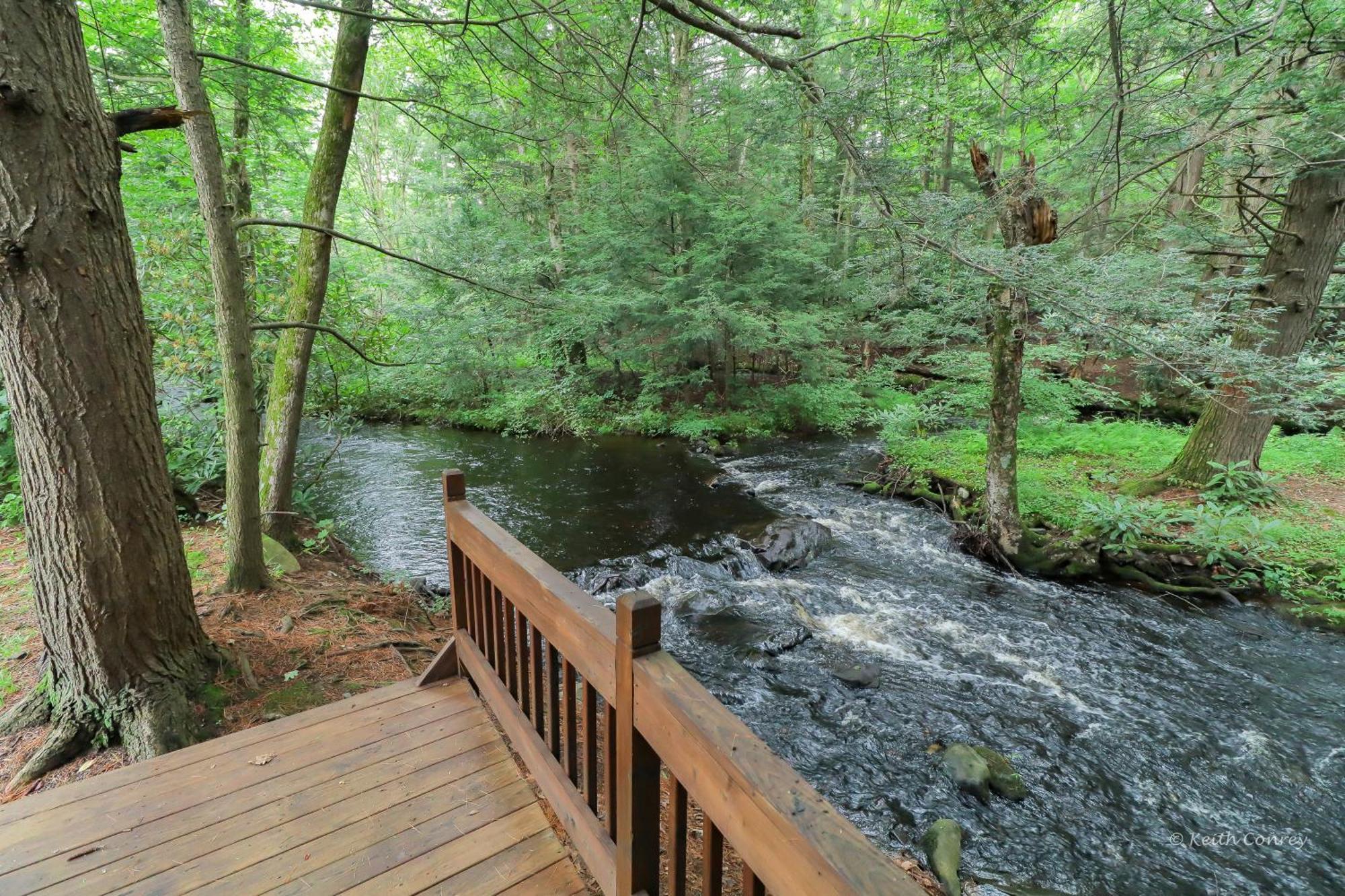Magnolia Streamside Resort Canadensis Δωμάτιο φωτογραφία