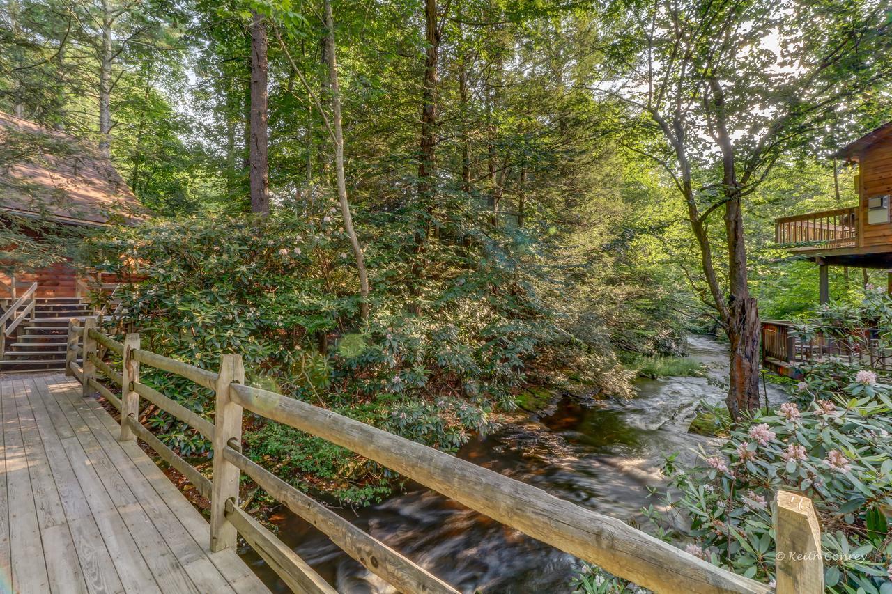 Magnolia Streamside Resort Canadensis Εξωτερικό φωτογραφία