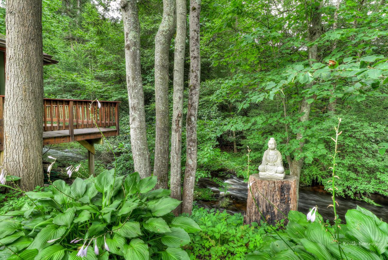 Magnolia Streamside Resort Canadensis Εξωτερικό φωτογραφία